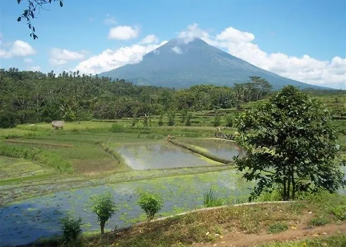 Bukit Asri