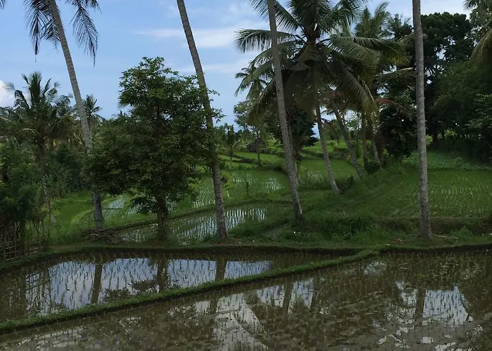 ゲストハウス Bukit Asri 4*