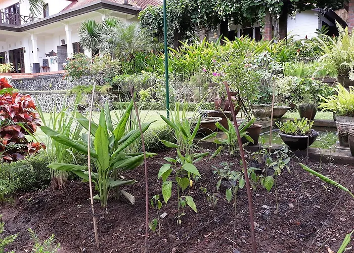 Bukit Asri 4* Seraya
